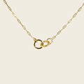 Yellow Gold Interlocking Rings Chain Necklace